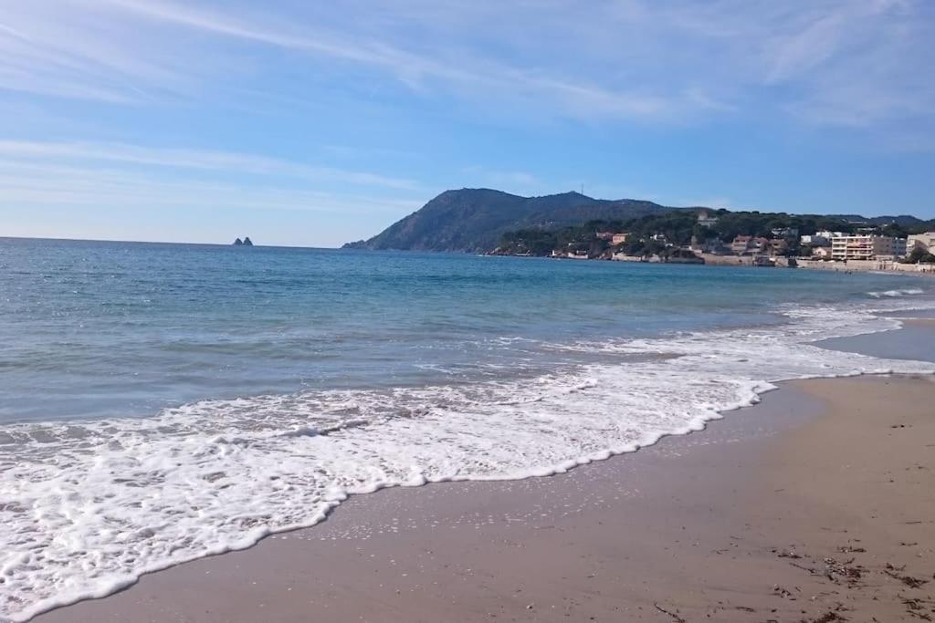 Vue Sur L'isthme A 2 Min. Arrivee H24 Apartment *