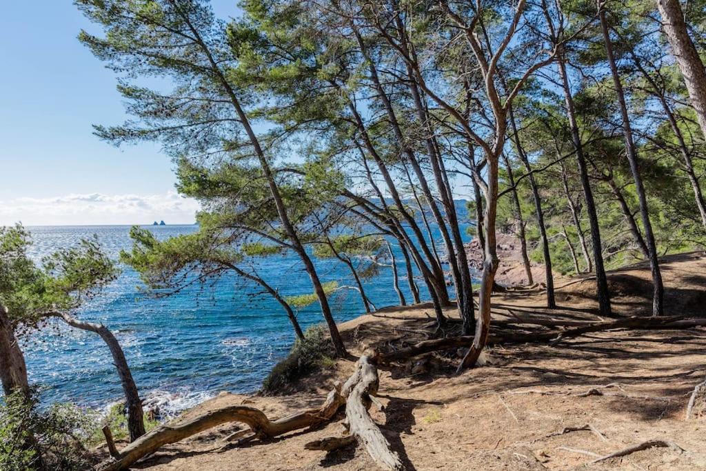 Vue Sur L'isthme A 2 Min. Arrivee H24 Appartement