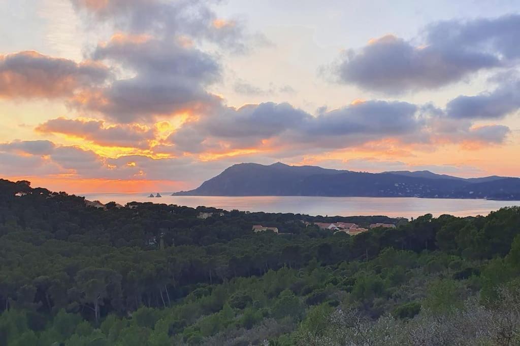 Appartement Vue Sur L'isthme A 2 Min. Arrivee H24 La Seyne-sur-Mer